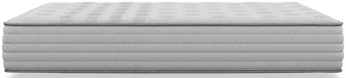 Twin XL Studio Chill Hybrid Mattress