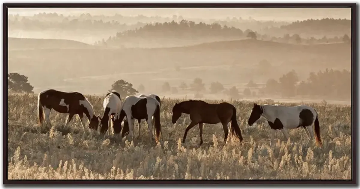 Wild Horse Sanctuary