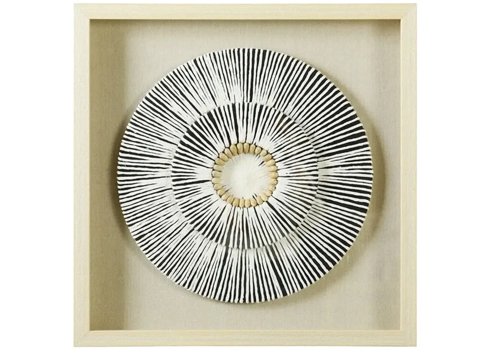 Paper Shell Disk Shadow Box