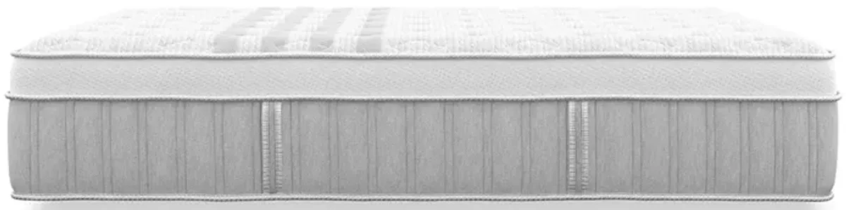 Twin XL Sapira Chill Hybrid Mattress