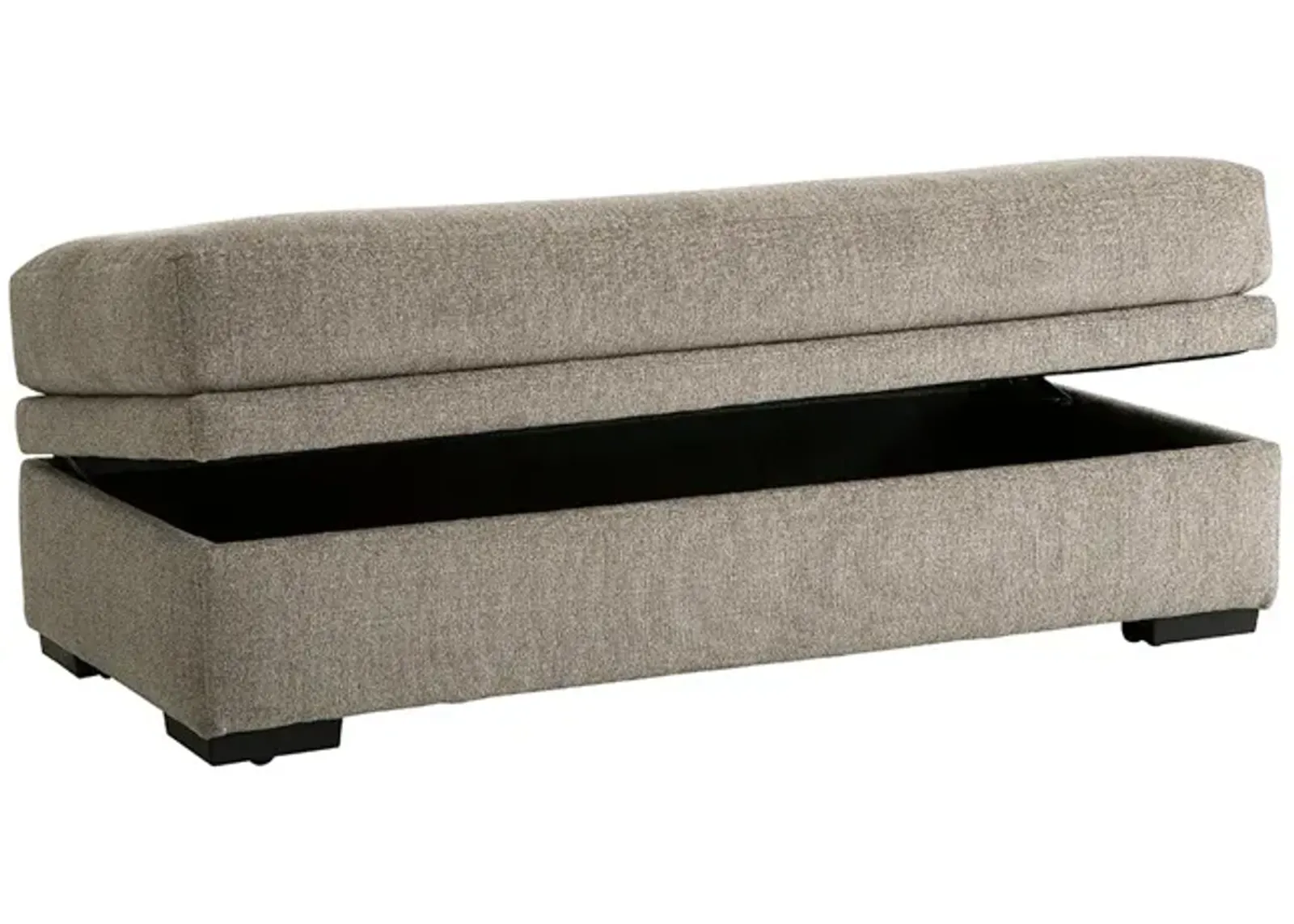 Bri Storage Ottoman