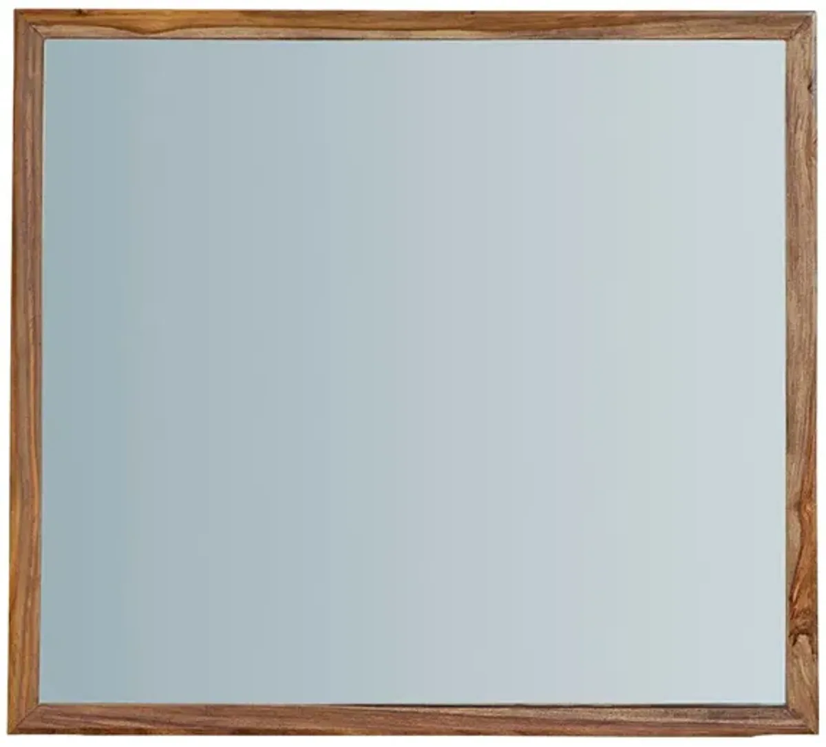 Dressonni Mirror