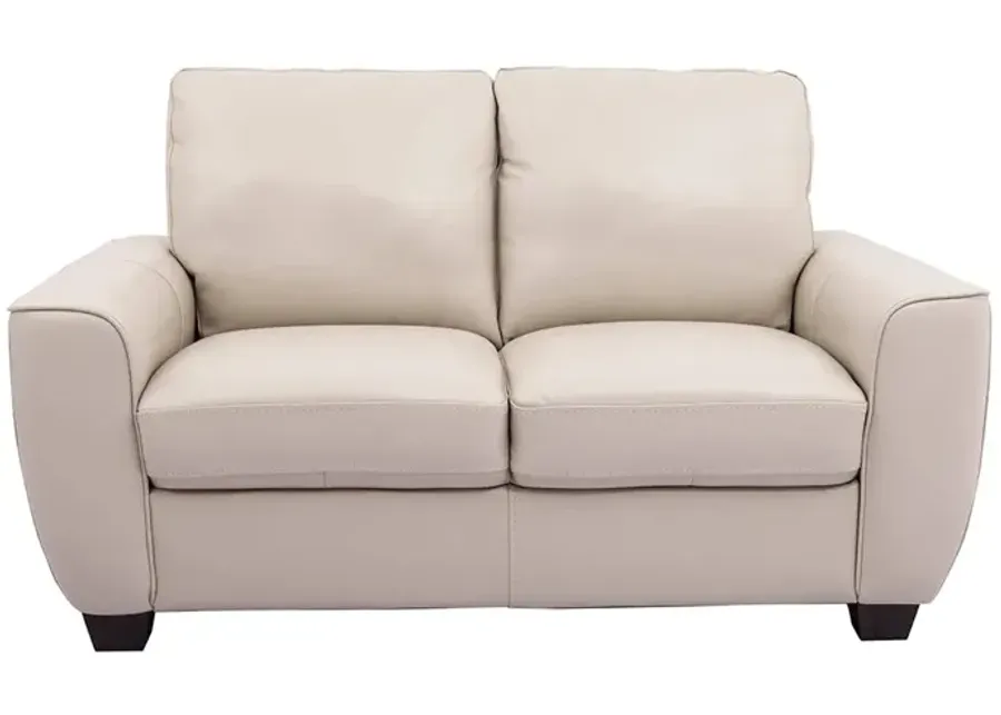 Light Grey Evan Leather Loveseat