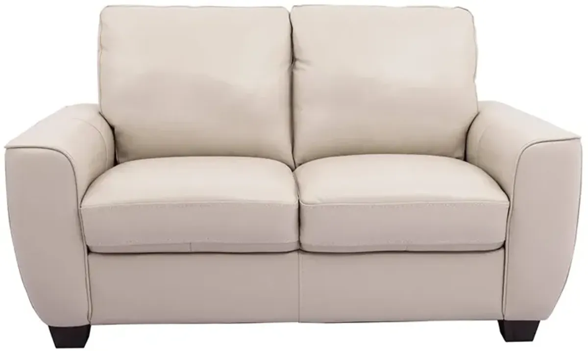 Light Grey Evan Leather Sofa and Loveseat