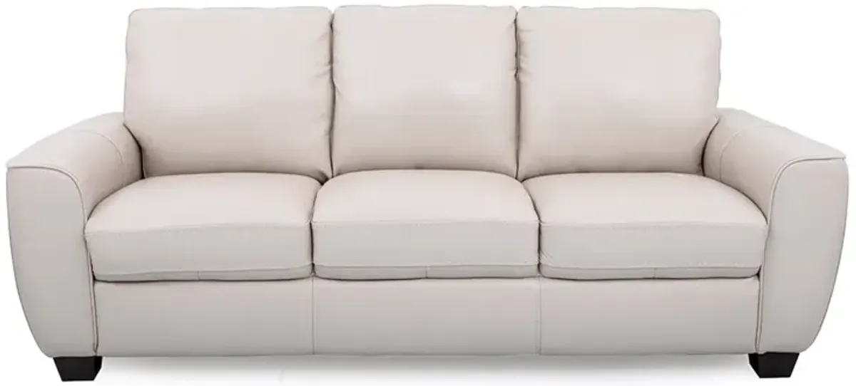 Light Grey Evan Leather Sofa and Loveseat