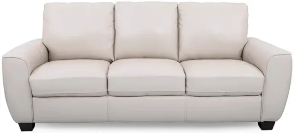 Light Grey Evan Leather Sofa and Loveseat