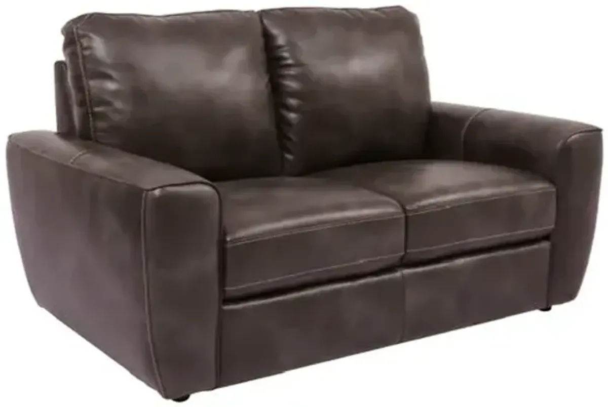 Dark Brown Evan Leather Sofa and Loveseat