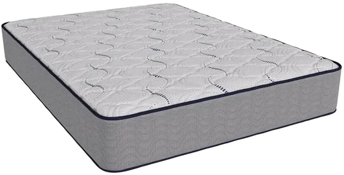 Twin Benwick Firm Mattress