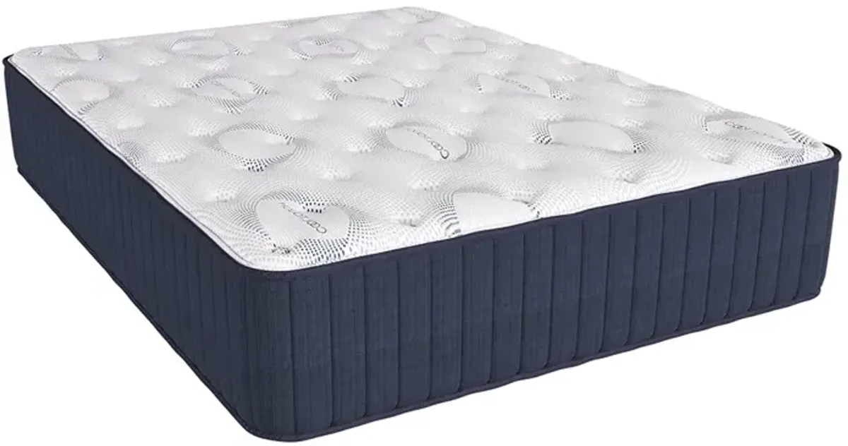 Twin Wickman Plush Mattress