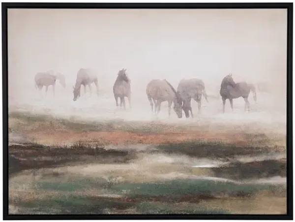 Grazing Stallions