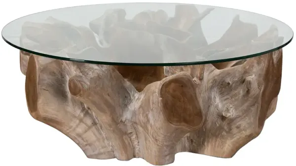 Hailey Teak Coffee Table