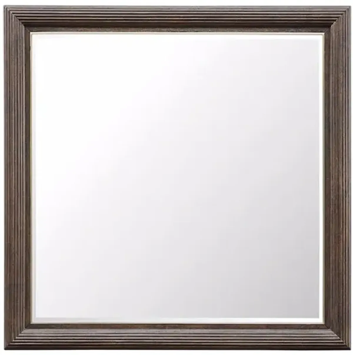 Asher Park Mirror