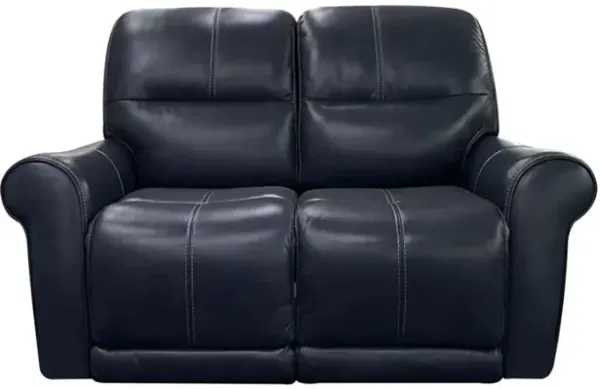Delta Leather Zero-G Power Reclining Loveseat