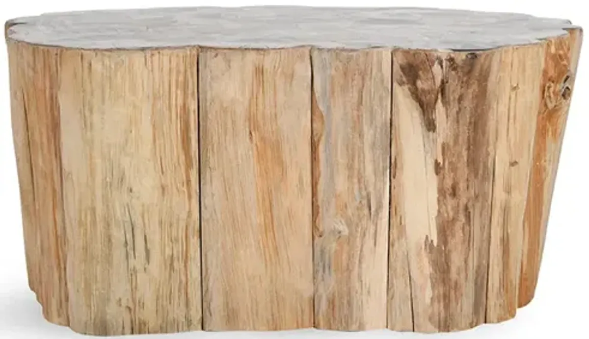 Norwest Petrified Wood Coffee Table