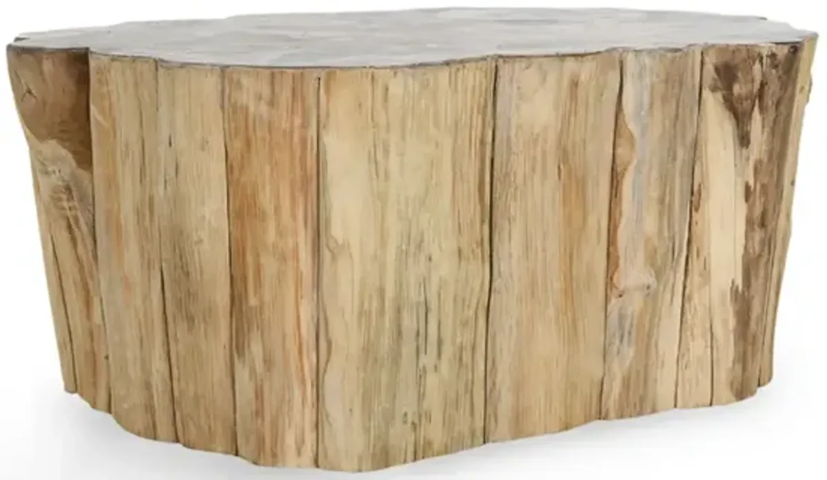 Norwest Petrified Wood Coffee Table