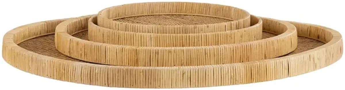 Saxon Suspendible Trays (Set of 4)
