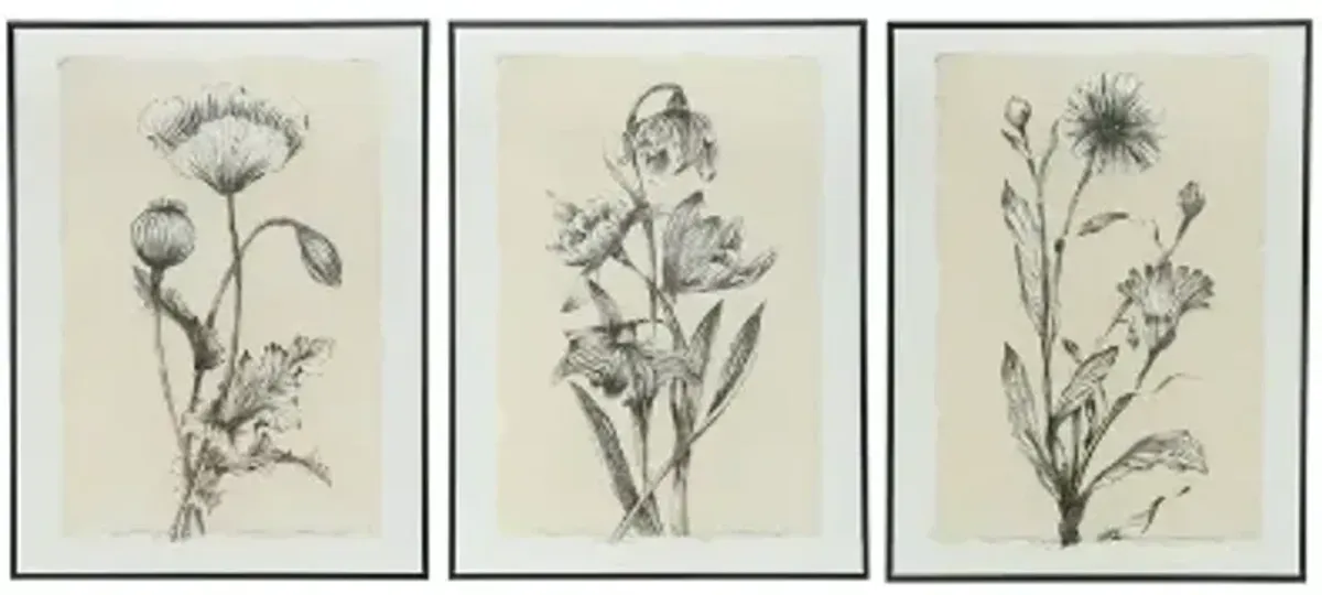 Black and Beige (Set of 3)