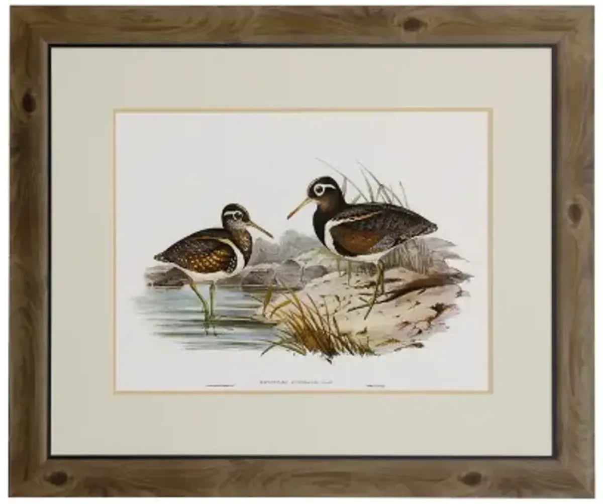 Waterbird Pairing III