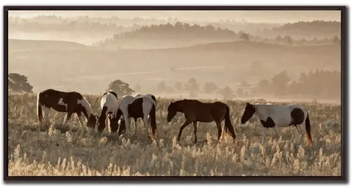 Wild Horse Sanctuary