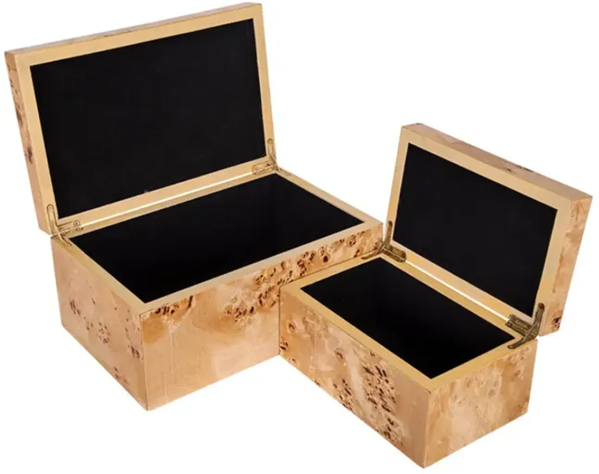 Burl Wood Storage Boxes (Set of 2)