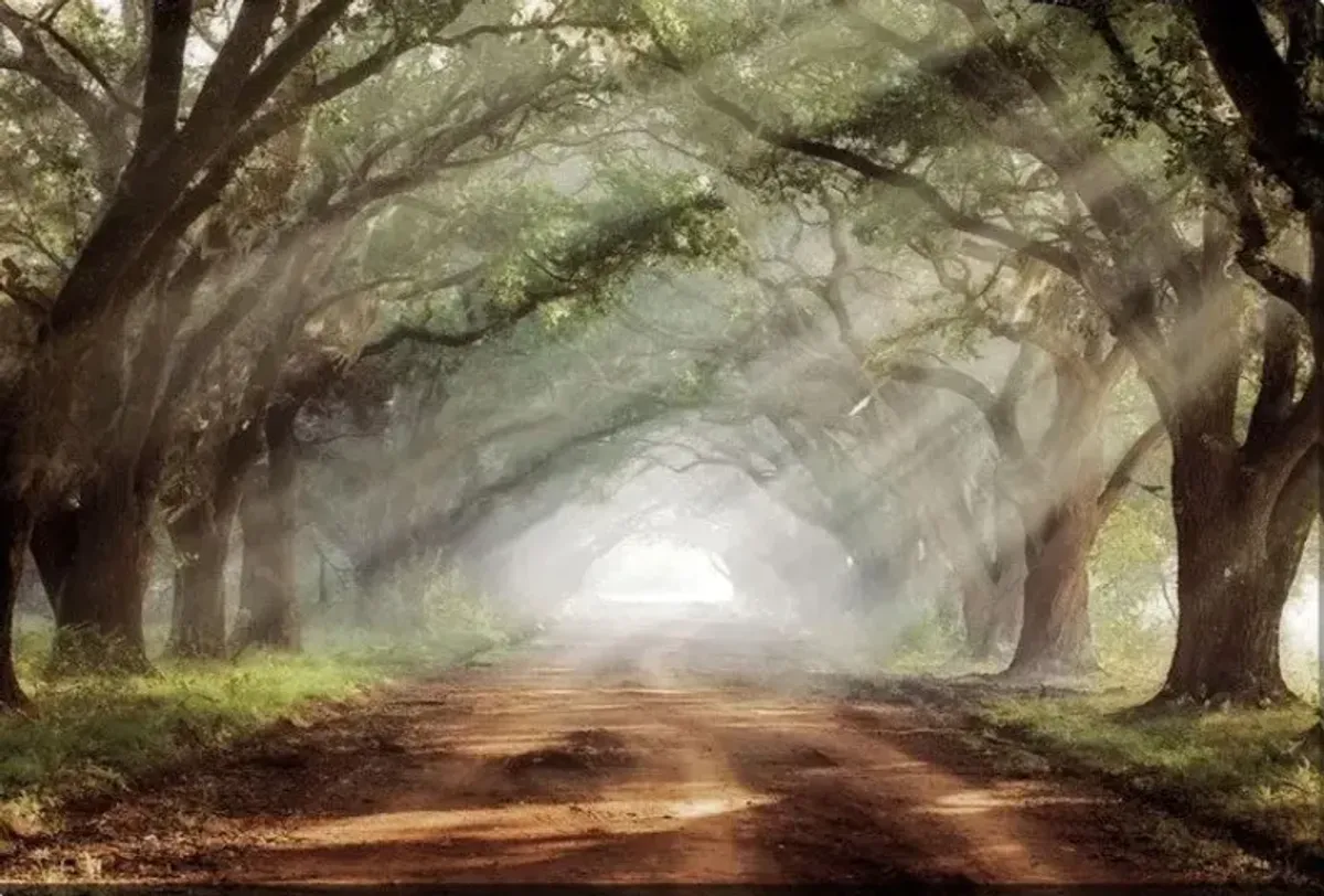 Evergreen Plantation