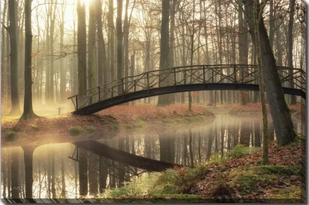 Bridge Over Trouble Waters