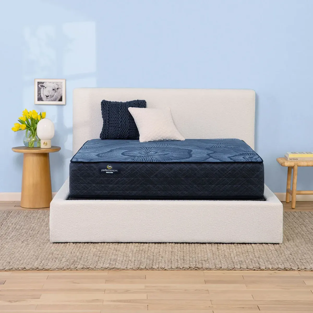 Queen Delani Dreams Firm Perfect Sleeper Mattress