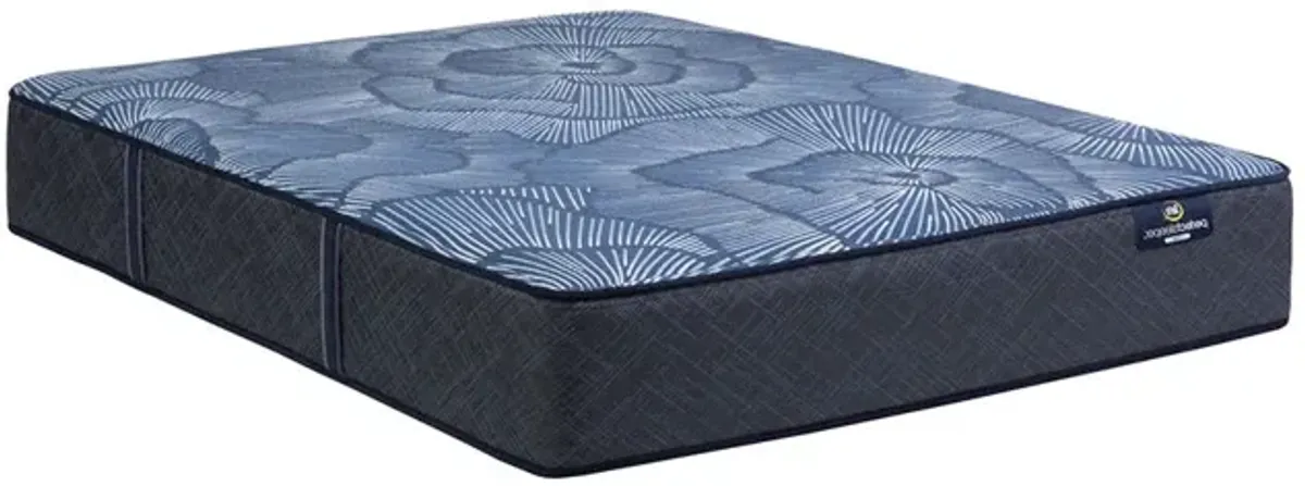 Queen Delani Dreams Firm Perfect Sleeper Mattress