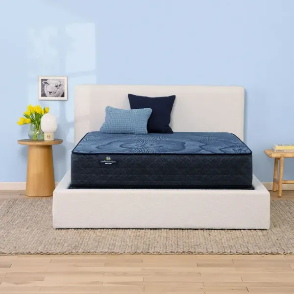Full Delani Dreams Medium Perfect Sleeper Mattress