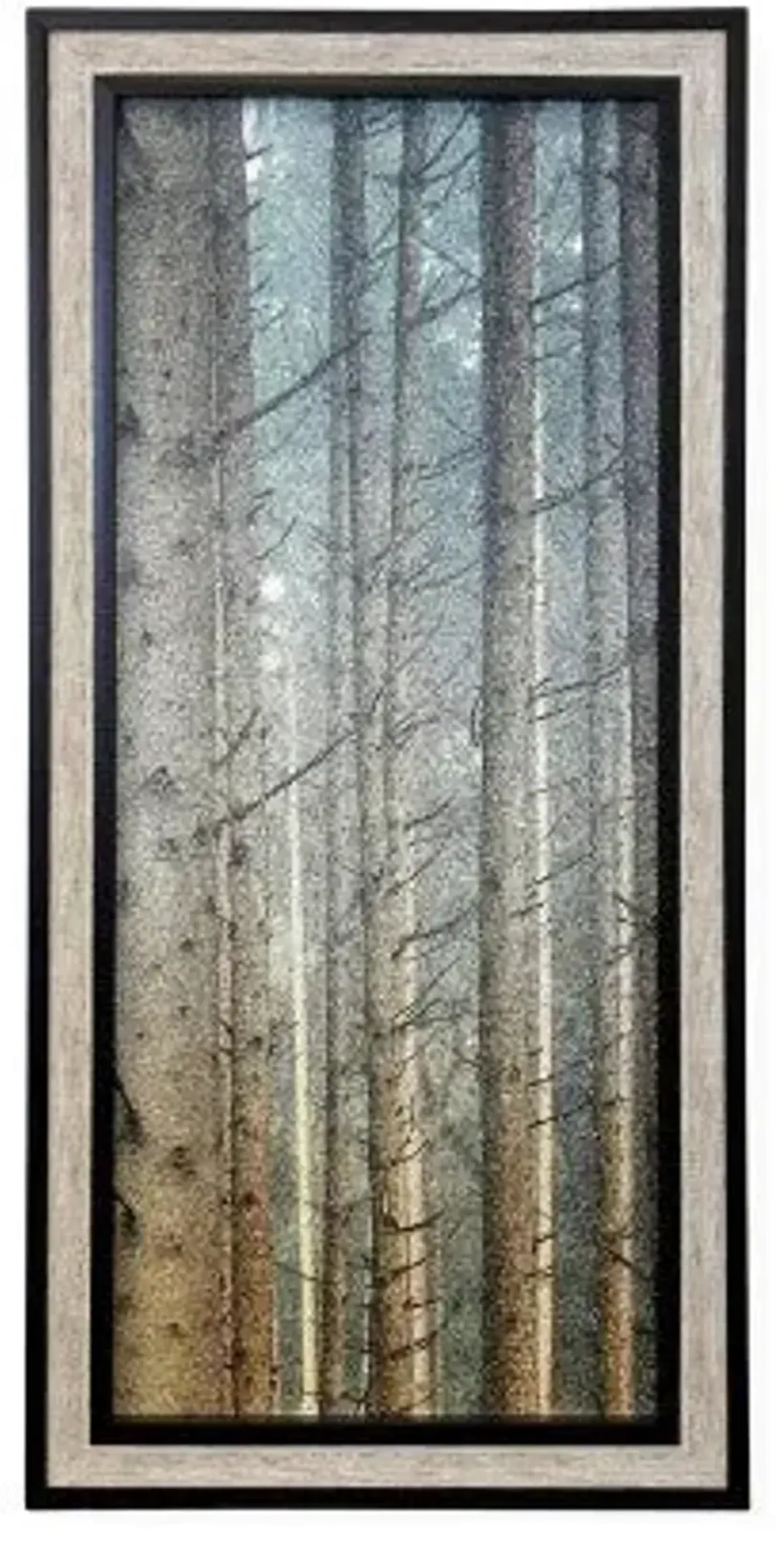Forest Dreaming II