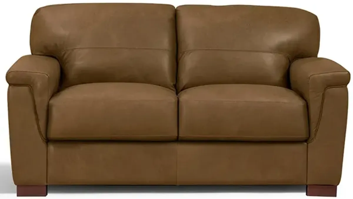 Olympia Leather Loveseat