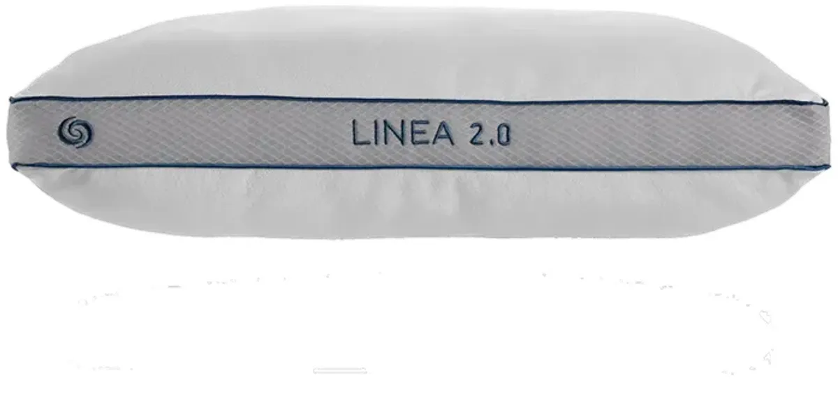 Linea 2.0 Pillow