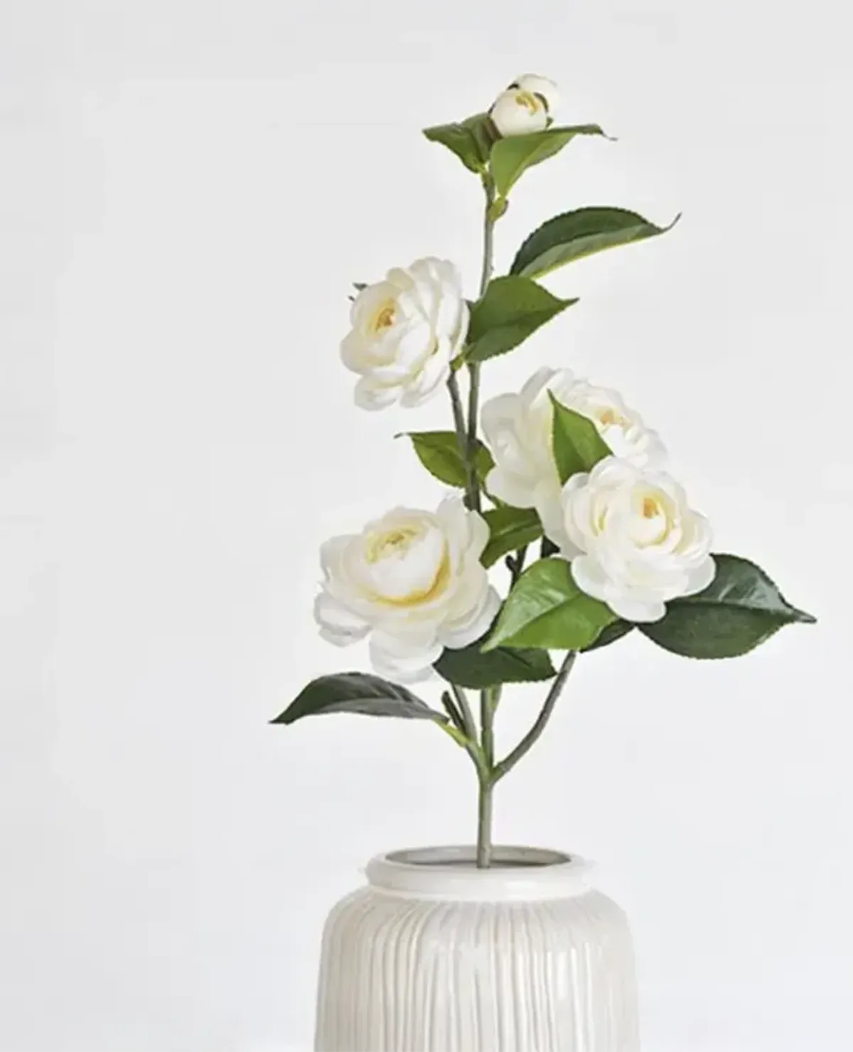 Camellia Flower Stems