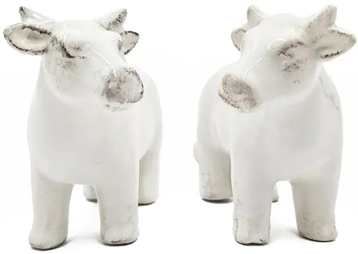Cow Salt & Pepper Shakers