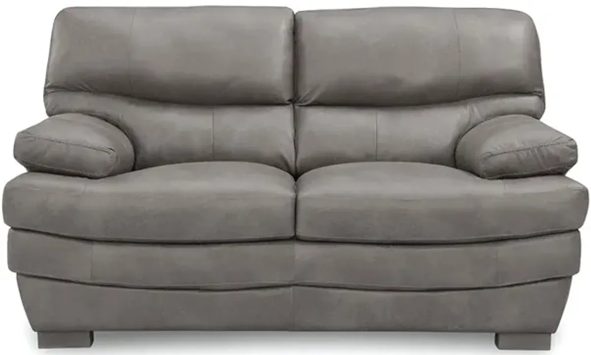 Denver Leather Loveseat