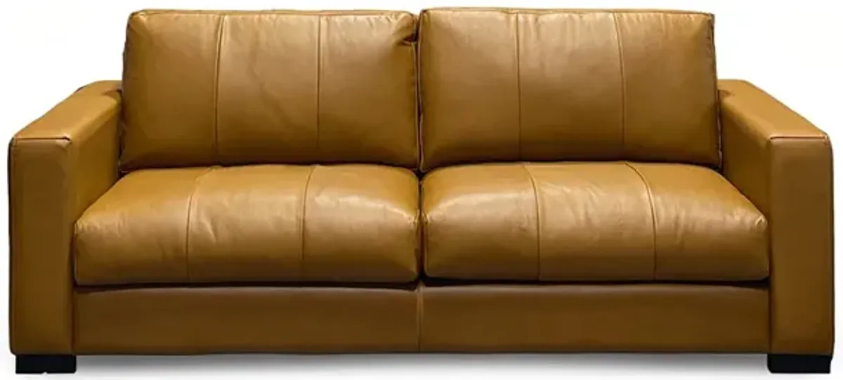 Canyon Leather Sofa