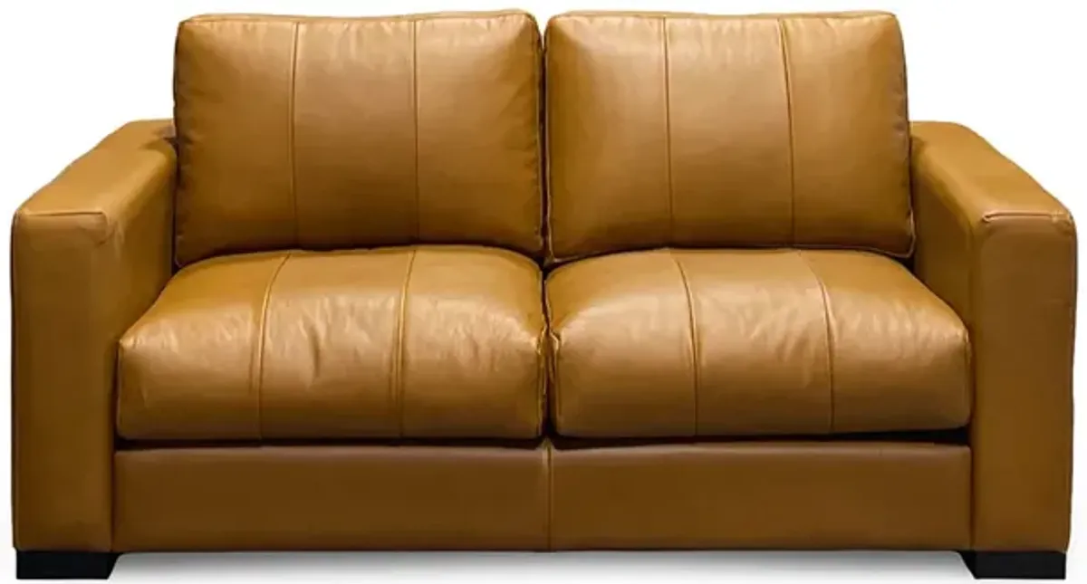 Canyon Leather Loveseat