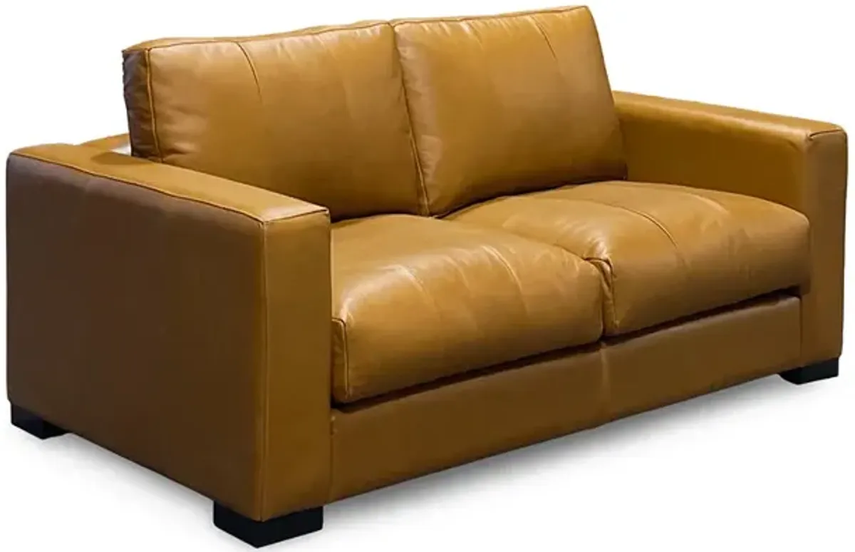 Canyon Leather Loveseat