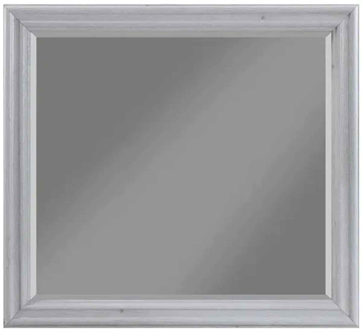 Brown Blackwater Falls Mirror