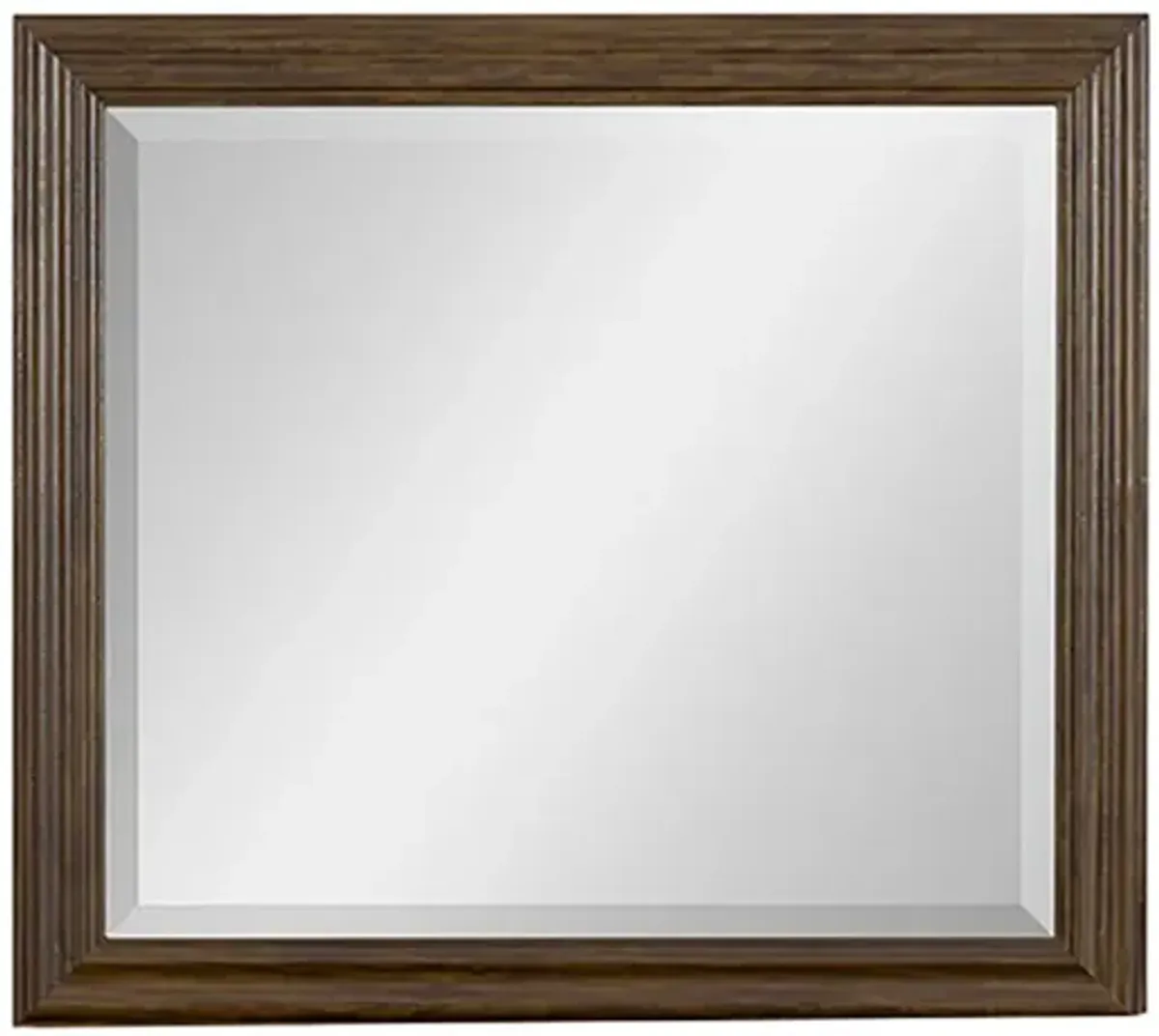 Brown Blackwater Falls Mirror