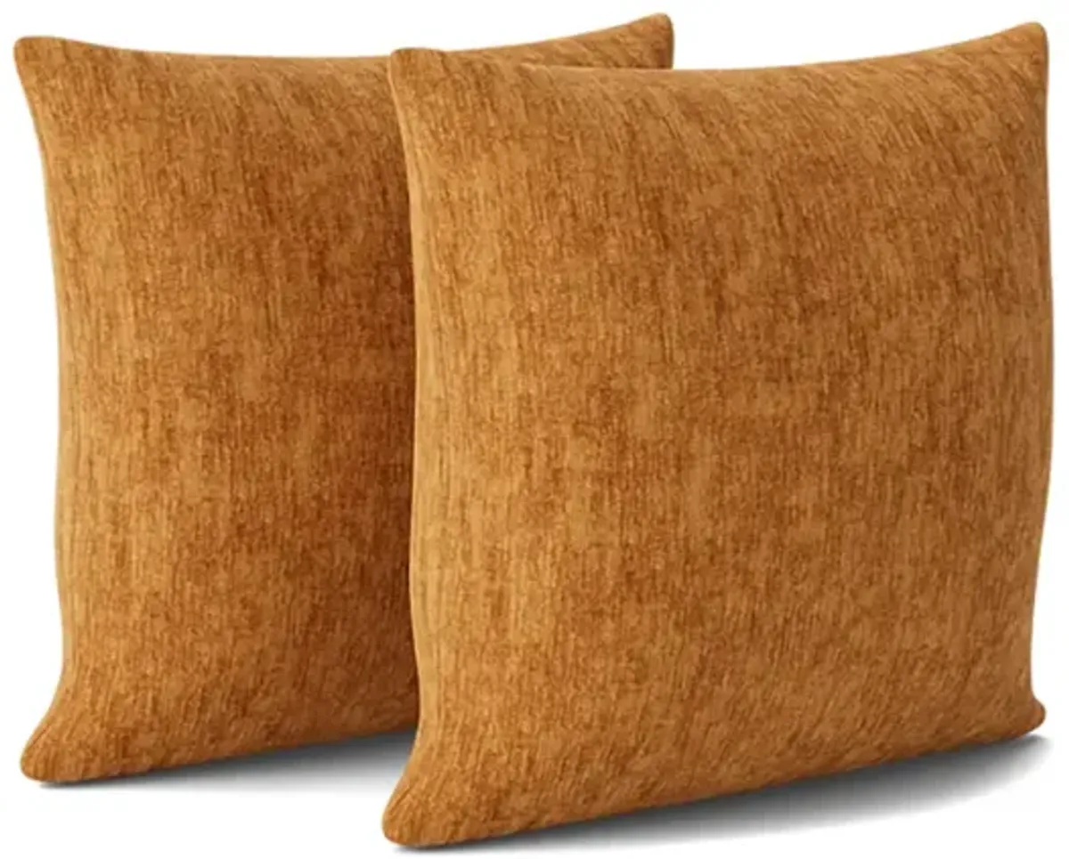 Crave Orange Accent Pillows (Set of 2)