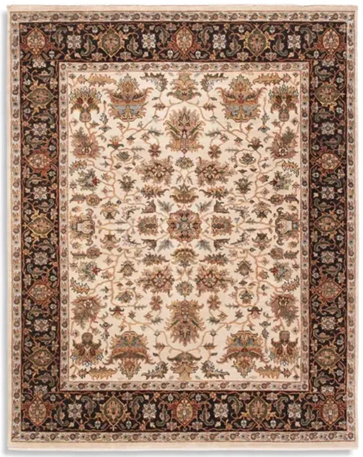 Kashi Ivory Brown Area Rug - 2 4  x 4 0 