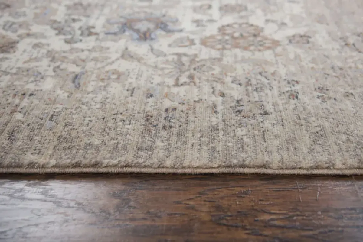 Gossamer Beige - 2 6  X 8 0  Area Rug