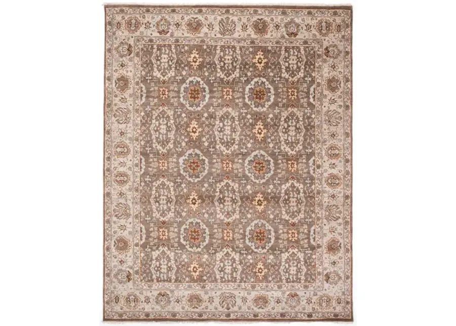 Rajasthan Camel Mushroom Area Rug - 4 0  x 6 0  