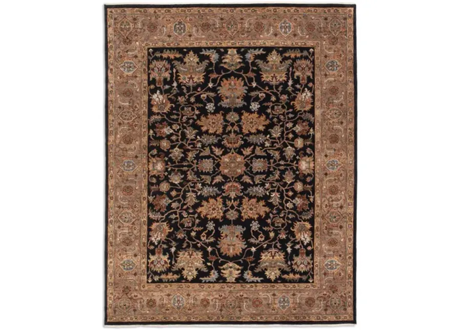 Kashi Black Camel Area Rug - 2 6  x 10 0  