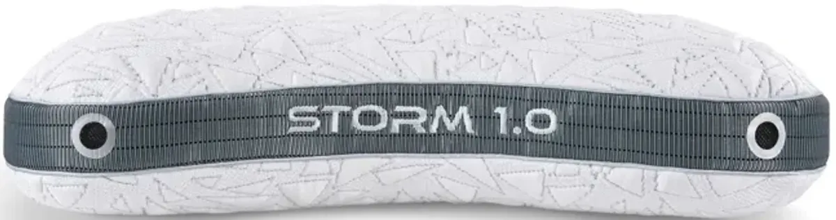 Storm Cuddle 1.0 Pillow