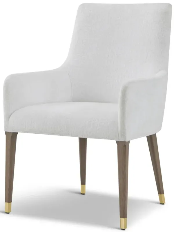 Judith Dining Arm Chair II