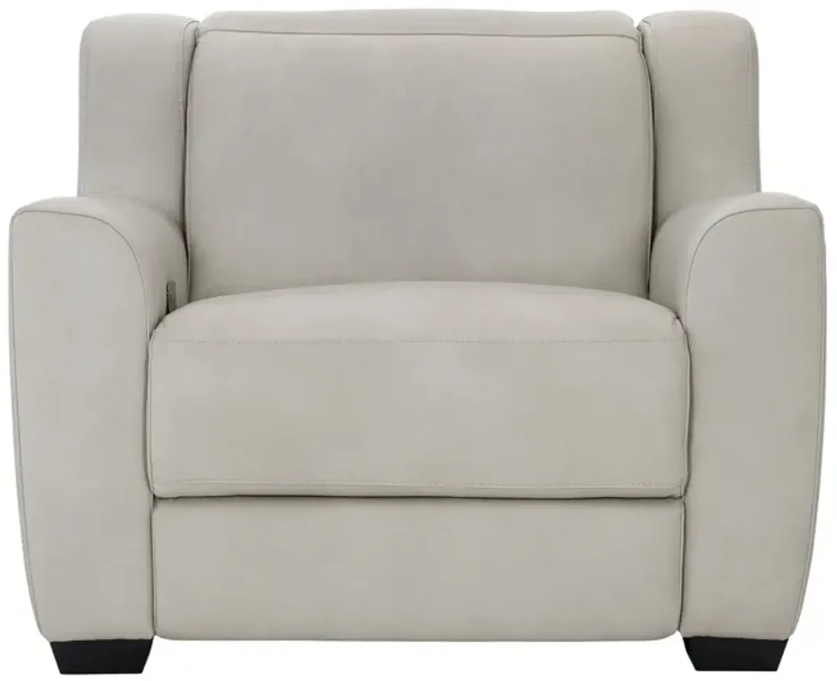 Everette Power Recliner