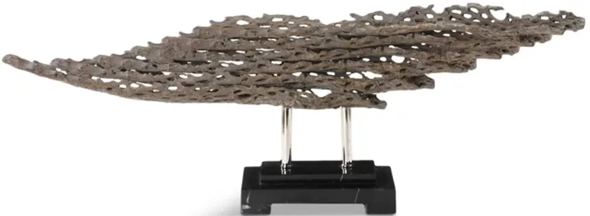 Cholla Wood Sculpture