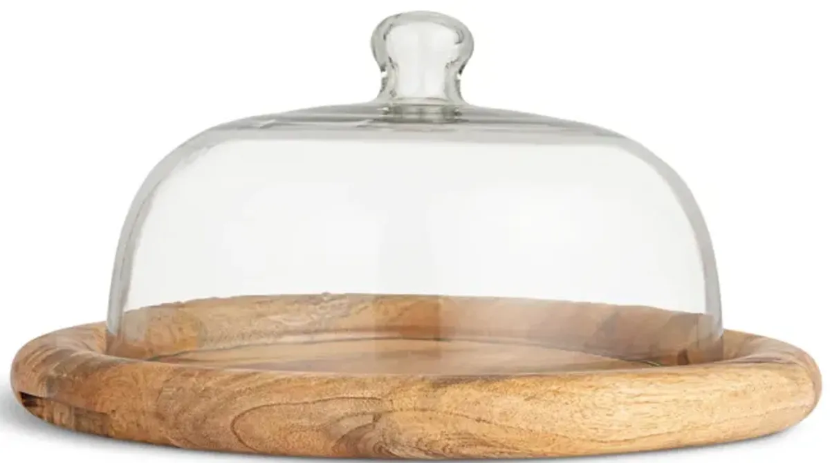 Round Glass Cloche